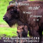Plakat ŻUBR 2016
